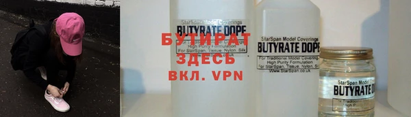 дурь Няндома