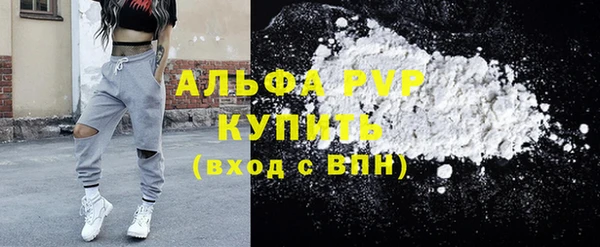 дурь Няндома