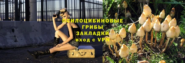 дурь Няндома