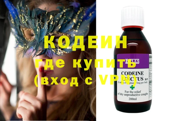 дурь Няндома
