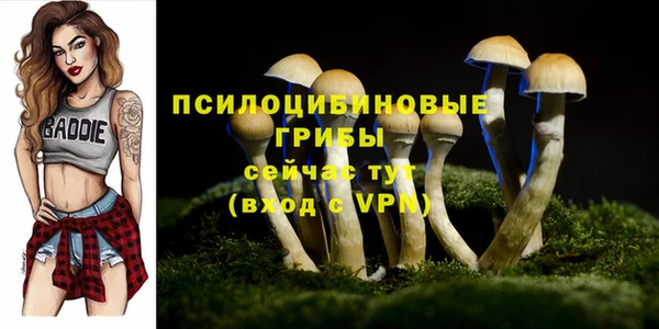 дурь Няндома
