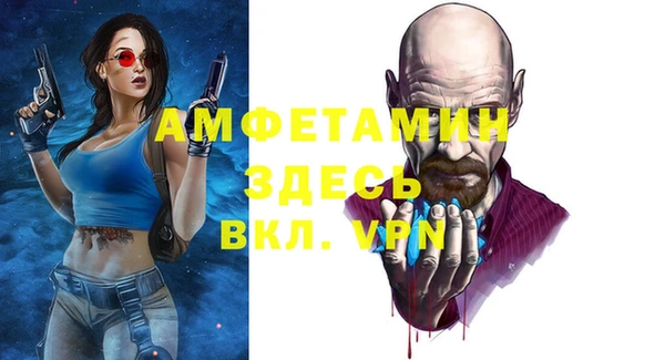дурь Няндома