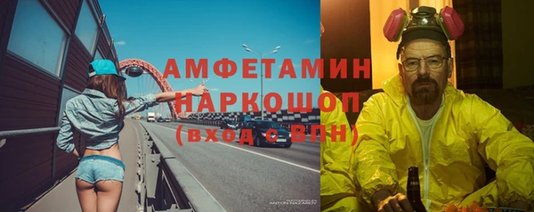 дурь Няндома