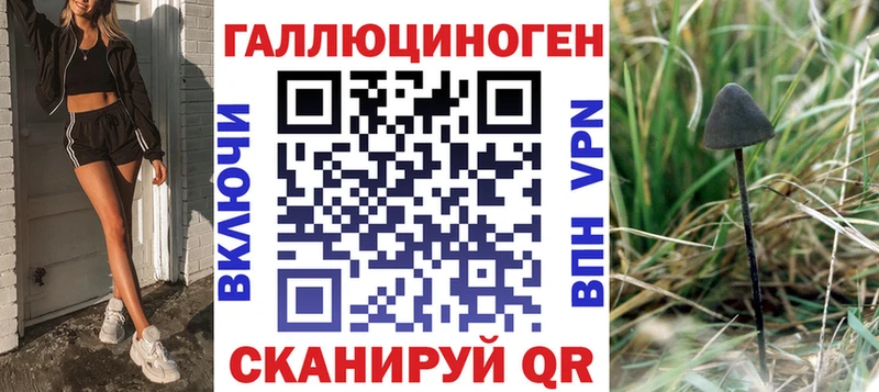 купить наркотик Анжеро-Судженск ОМГ ОМГ вход Псилоцибиновые грибы MAGIC MUSHROOMS