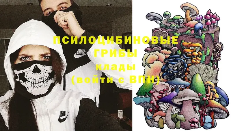 Галлюциногенные грибы Magic Shrooms  купить  цена  Анжеро-Судженск 