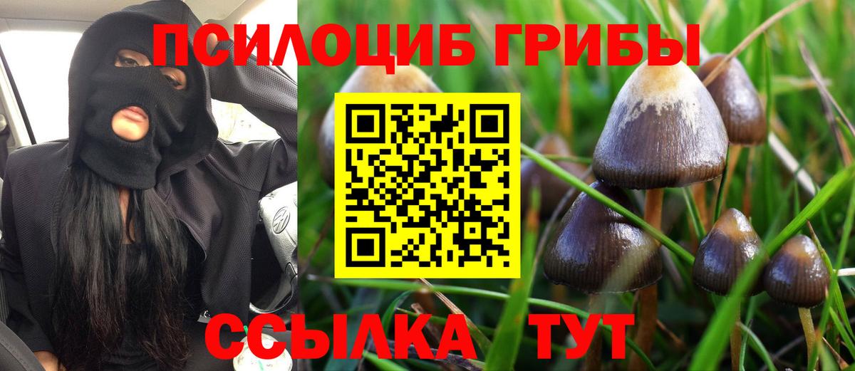 Псилоцибиновые грибы MAGIC MUSHROOMS  магазин продажи   Галлюциногенные грибы MAGIC MUSHROOMS  Анжеро-Судженск 