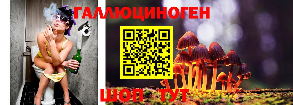 LSD-25 Анжеро-Судженск