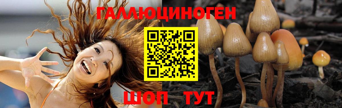 Псилоцибиновые грибы мицелий Анжеро-Судженск