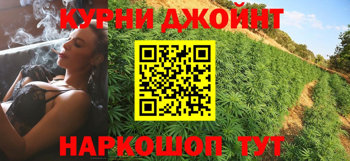 Канабис планчик Анжеро-Судженск